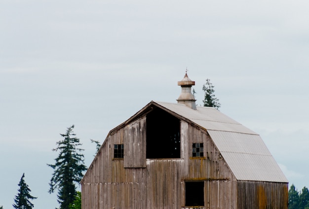 Free photo wooden old barn in a forest with clear white sky