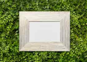 Free photo wooden picture frame on green foliage