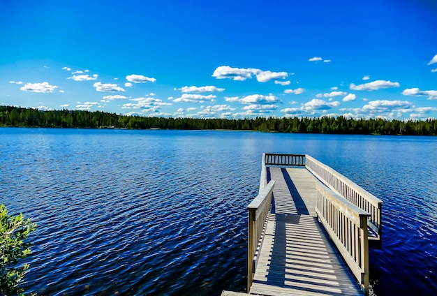 Free Photo wooden pier over the beautiful lake with the trees and the blue sky in the background in sweden