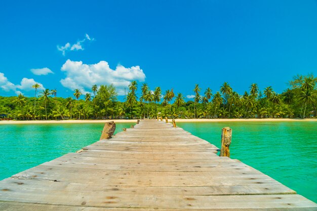 Wooden pier or bridge with tropical beach and sea in paradise island