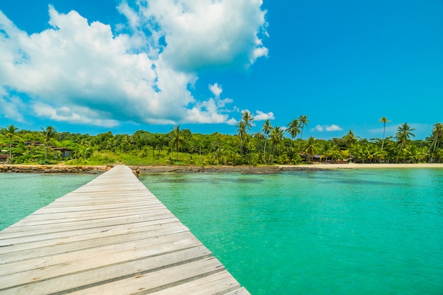 Free Photo wooden pier or bridge with tropical beach 