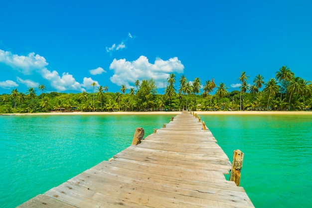 Free photo wooden pier or bridge with tropical beach