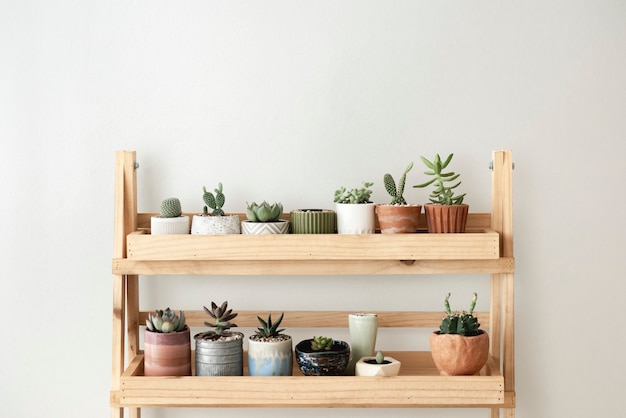 Free photo wooden plant shelf against a blank wall