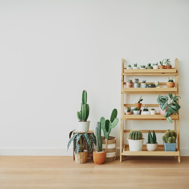 Wooden plant shelf against a blank wall