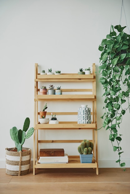 Wooden plant shelf with mixed plants