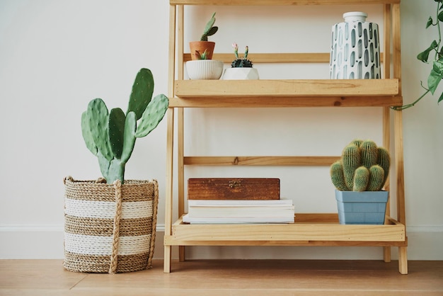 Free photo wooden plant shelf with mixed plants