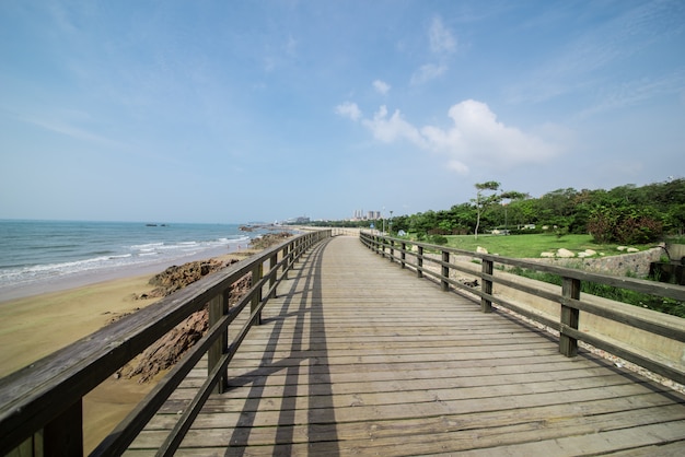 Free Photo wooden promenade