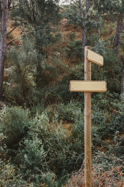 Free photo wooden sign in forest