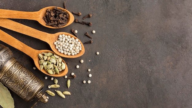 Wooden spoons with seeds and copy-space