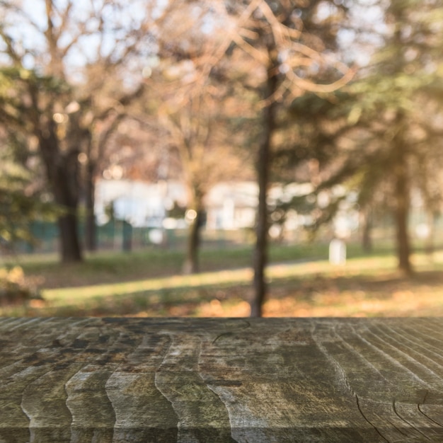 Free photo wooden surface in front of autumn trees at park