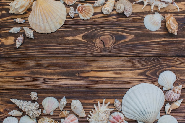 Wooden surface with decorative seashells