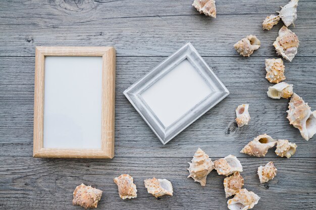 Wooden surface with two decorative frames and seashells