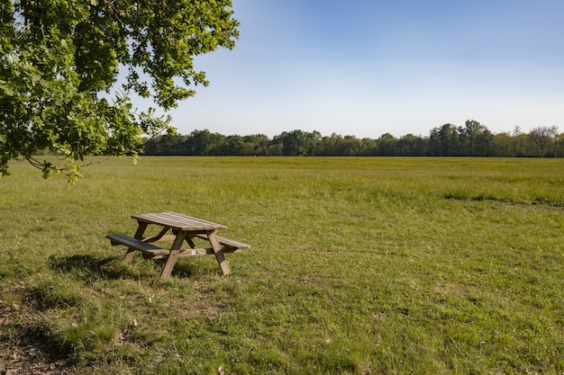 Free Photo wooden table and chairs in a green meadow