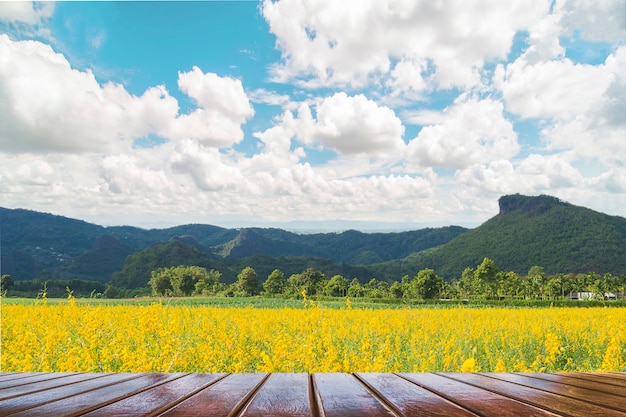 Free Photo wooden terrace over beautiful yellow flower field and mountain blue sky landscape