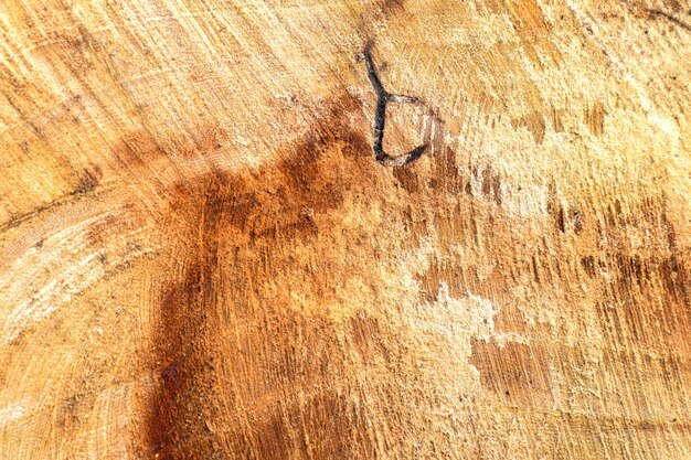 Wooden texture with scratches