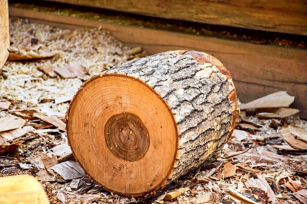 Free Photo wooden trunk on sawdust