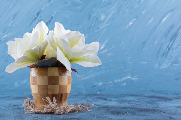 Wooden vase of white magnolia flowers on blue.