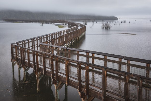 Wooden walkway extending over the Puget Sound at high tide