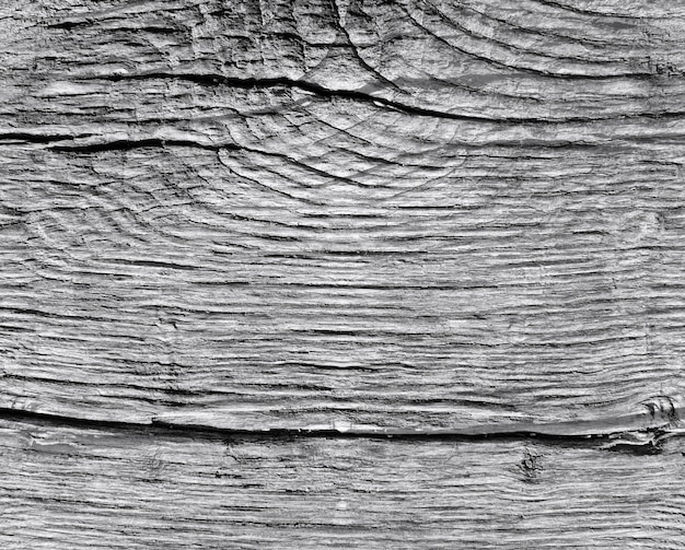 Free photo wooden warm texture