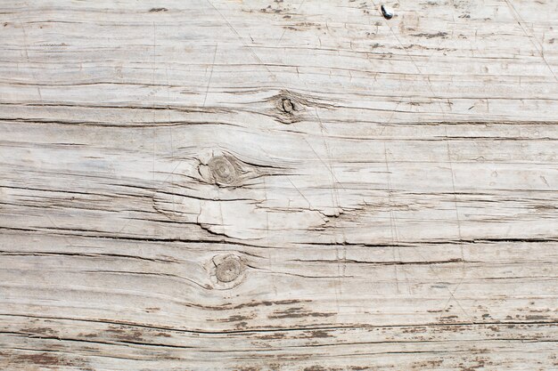 wooden warm texture