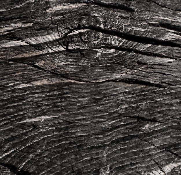 Free photo wooden warm texture