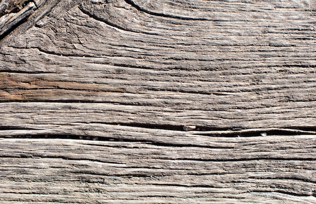 wooden warm texture