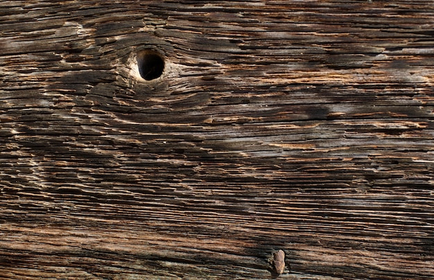 Free Photo wooden warm texture