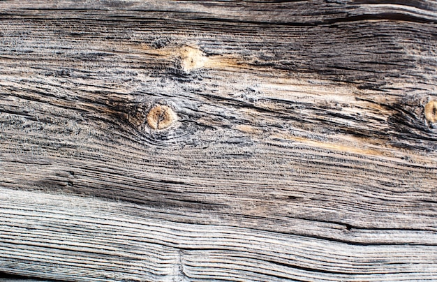 Free photo wooden warm texture