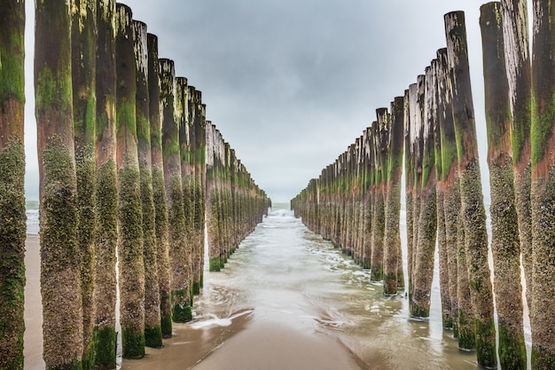 Free photo wooden wave breaking installations in the north sea, zealand, the netherlands