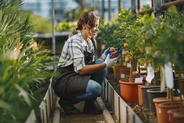 Free photo worker take care to flowerpoots. girl in a white shirt. woman in a gloves