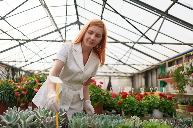 Workers monitor the growth and development of succulents at green house