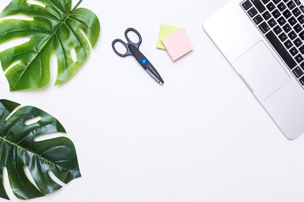 Workplace with leaves and laptop