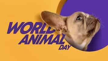 Free photo world animal day with cute dog