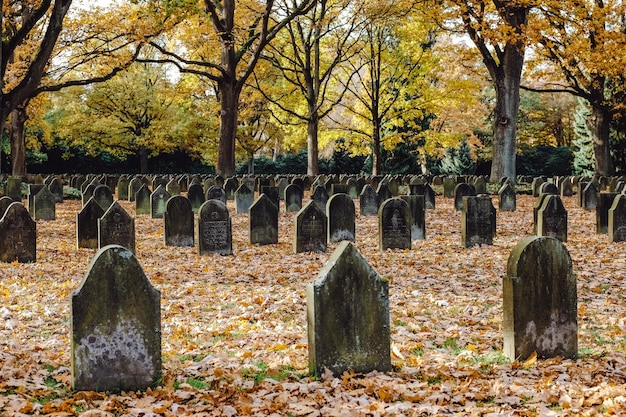 Free Photo world war i cemetery