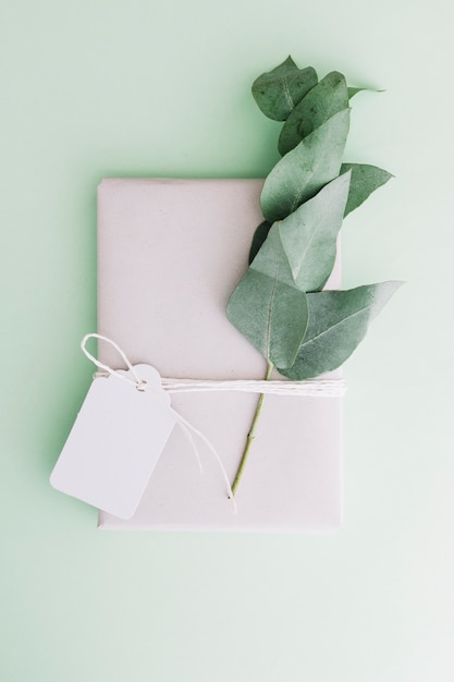 Wrapped white gift box with blank tag and twig on pastel background