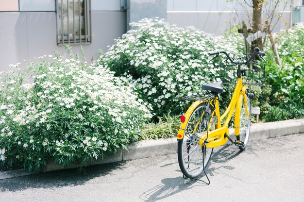 yellow bicycle at park in japan