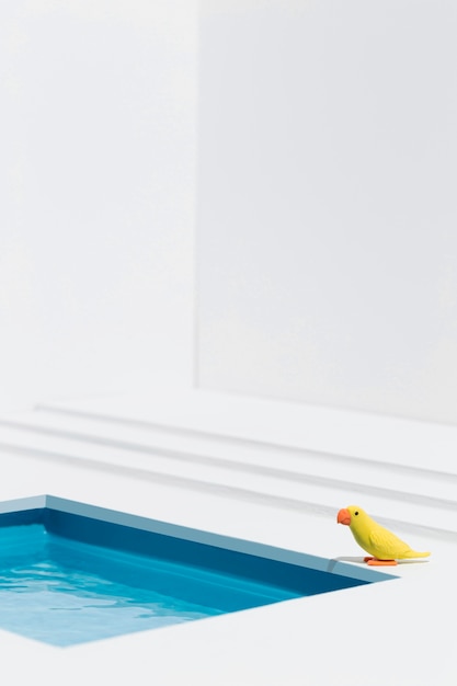 Free photo yellow bird next to swimming pool