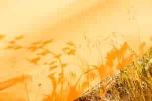 Free photo yellow cloth lying in the fields