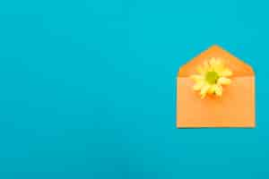 Free photo yellow flower in envelope