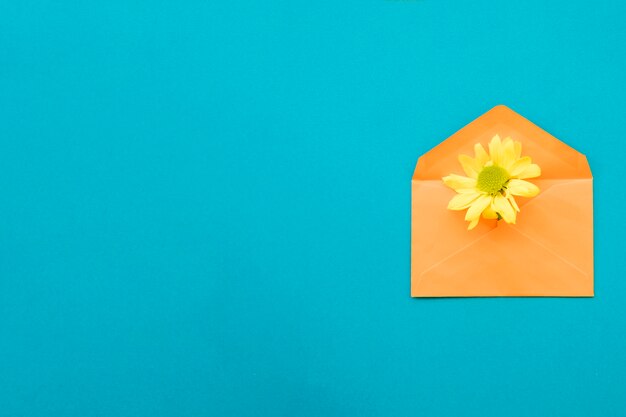 Yellow flower in envelope