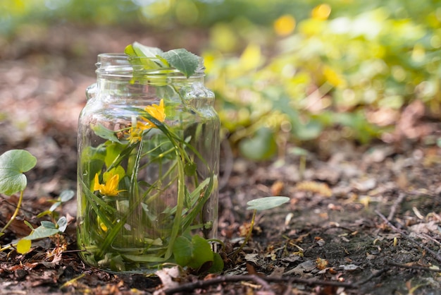 Free photo yellow flower in a glass jar