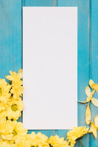 Free photo yellow flowers and clear sheet of paper