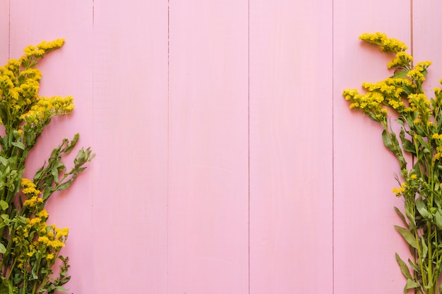 Free Photo yellow flowers on pink