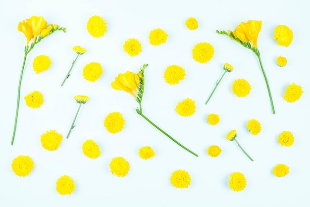 Free photo yellow flowers on white background