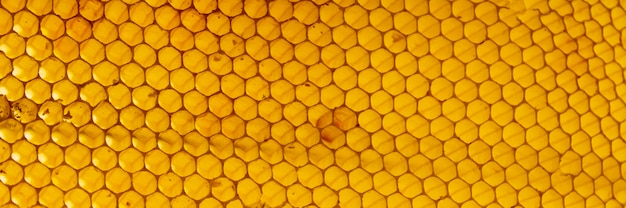 Free photo yellow honeycomb texture