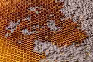 Free photo yellow honeycomb texture