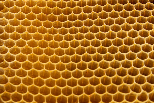 Free photo yellow honeycomb texture