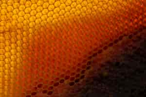 Free photo yellow honeycomb texture