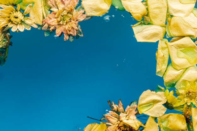 Yellow petals and flowers in blue water with copy space