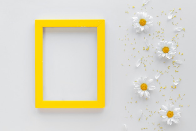 Yellow picture frame with white daisy flower and pollen on white surface